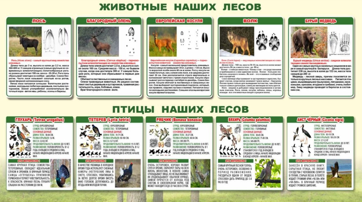 Точка осмотра 1