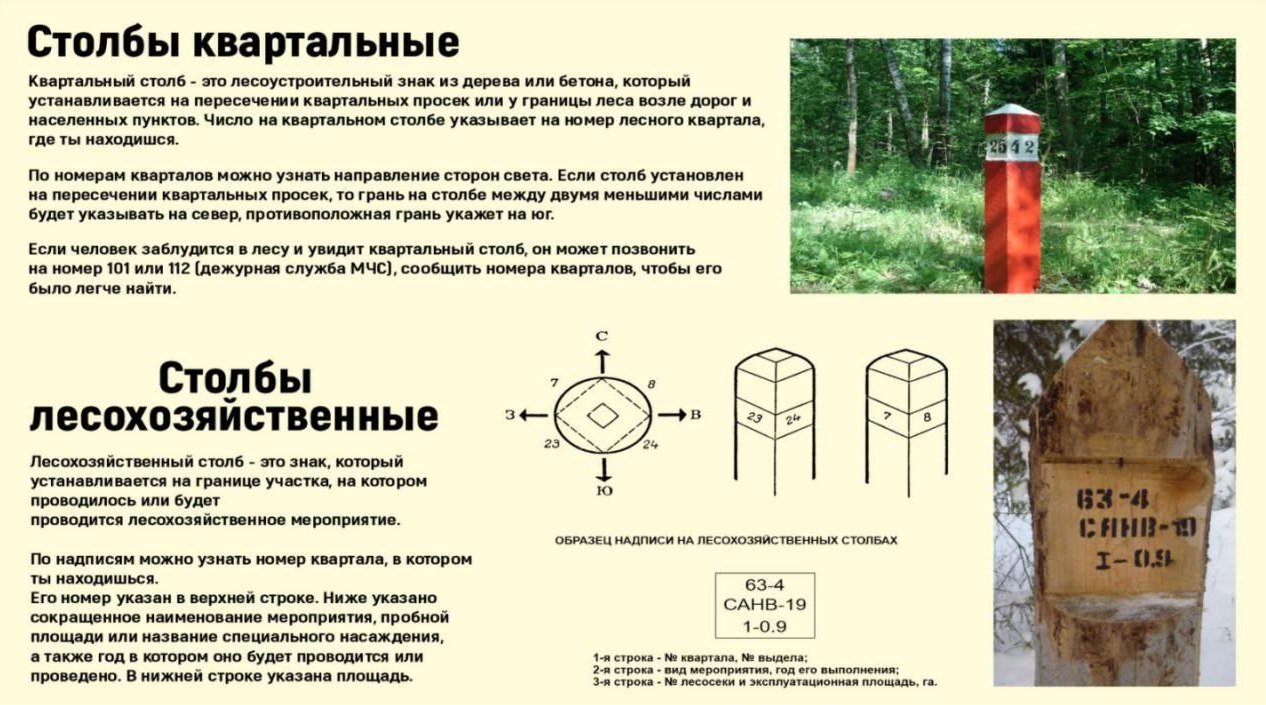 Точка осмотра 10
