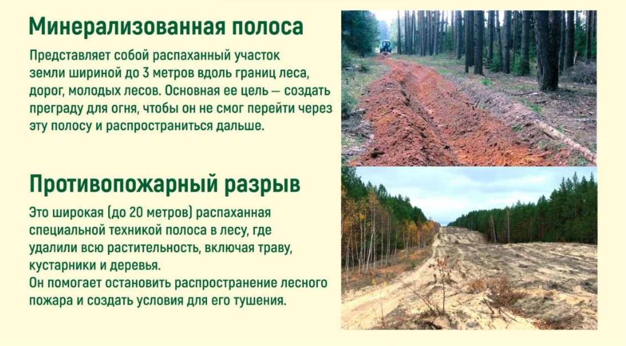 Точка осмотра 11