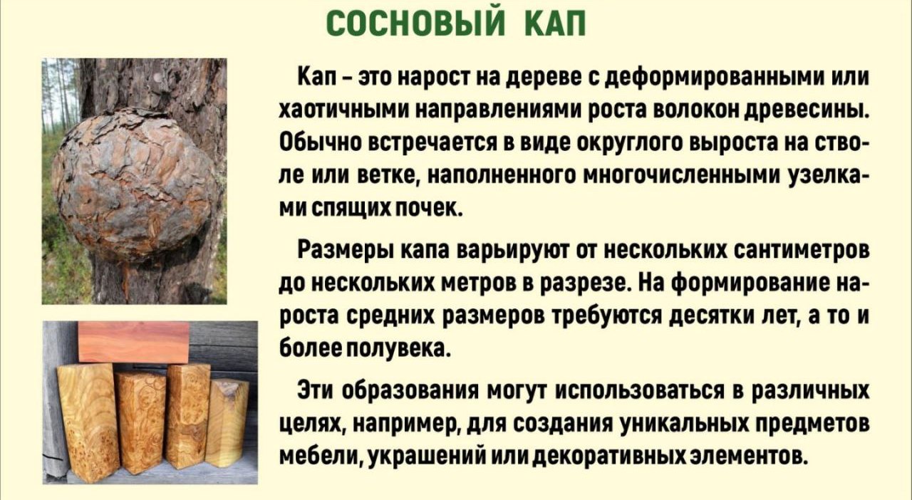 Точка осмотра 13