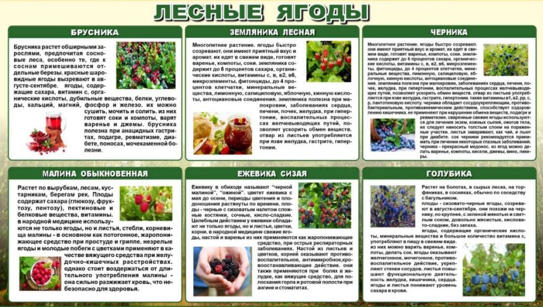 Точка осмотра 14
