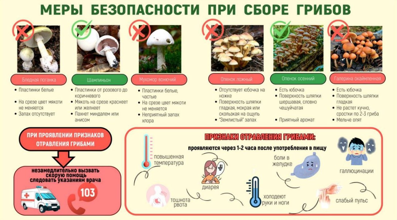 Точка осмотра 15