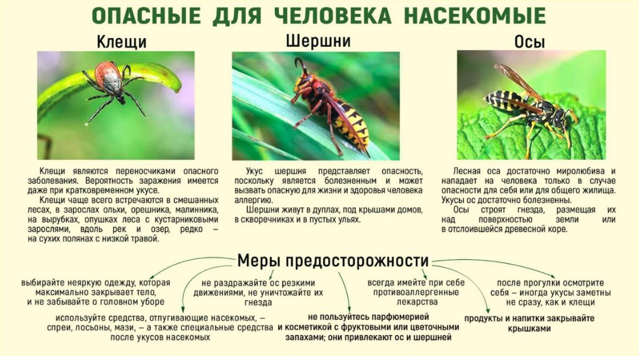Точка осмотра 16