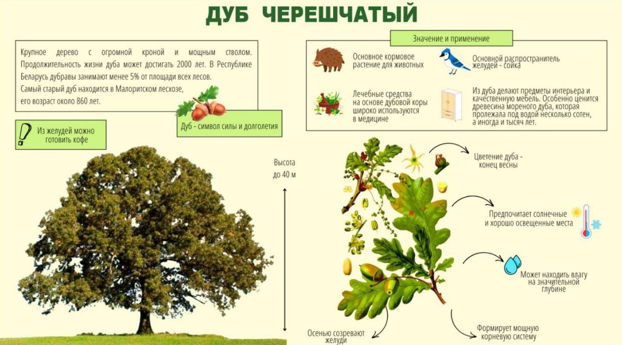Точка осмотра 19