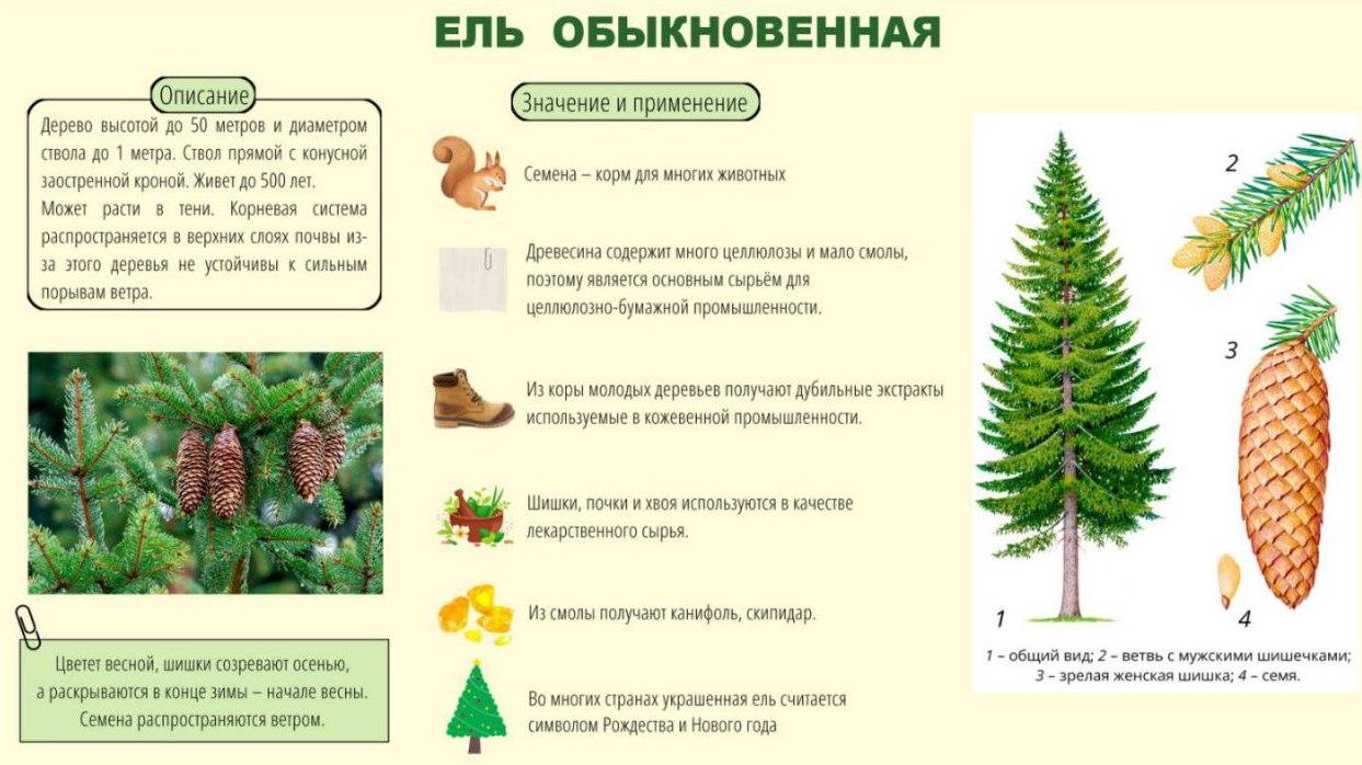 Точка осмотра 2