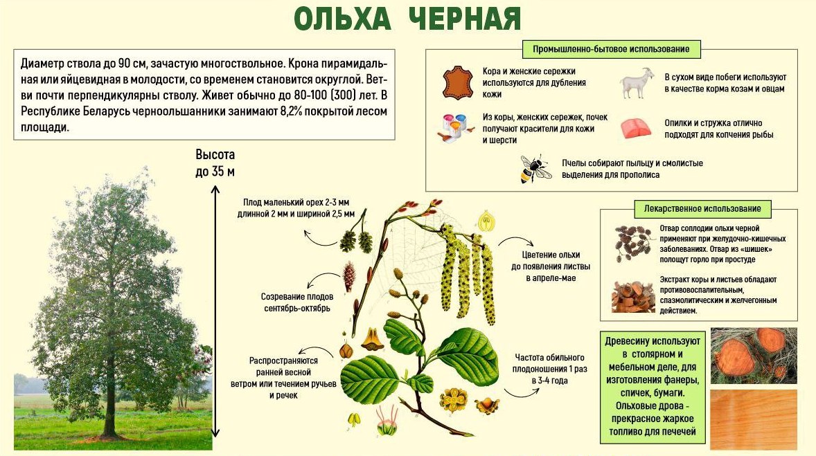 Точка осмотра 21