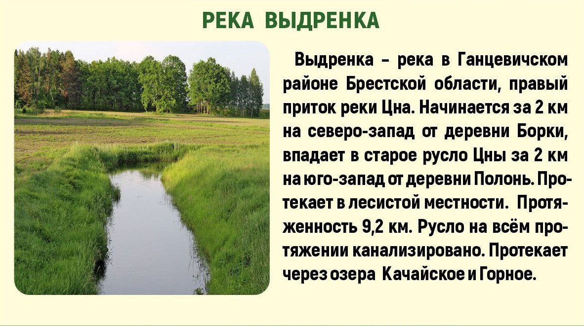 Точка осмотра 22