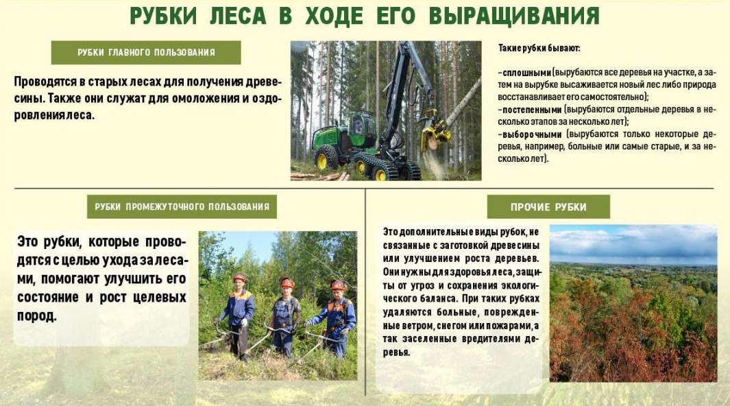 Точка осмотра 23