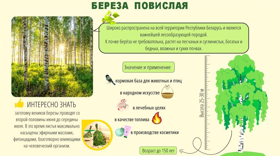 Точка осмотра 24