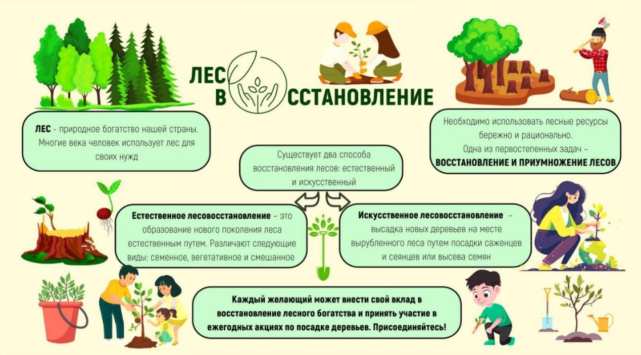 Точка осмотра 3