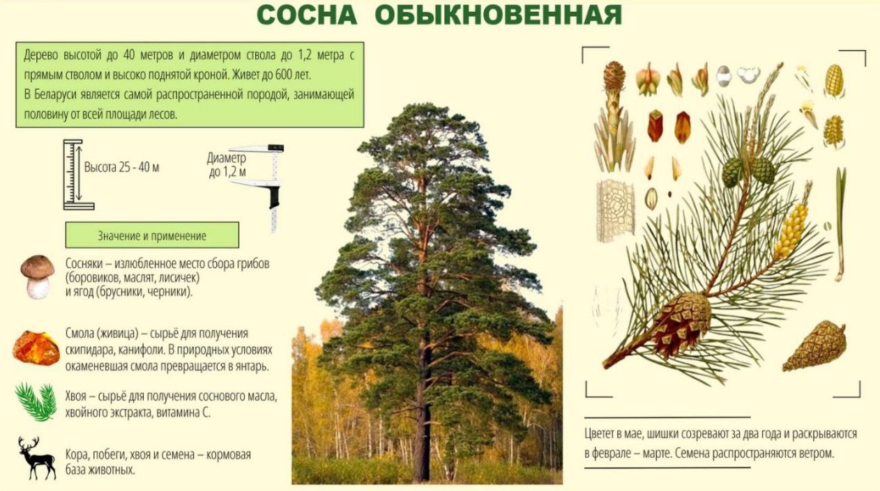 Точка осмотра 4