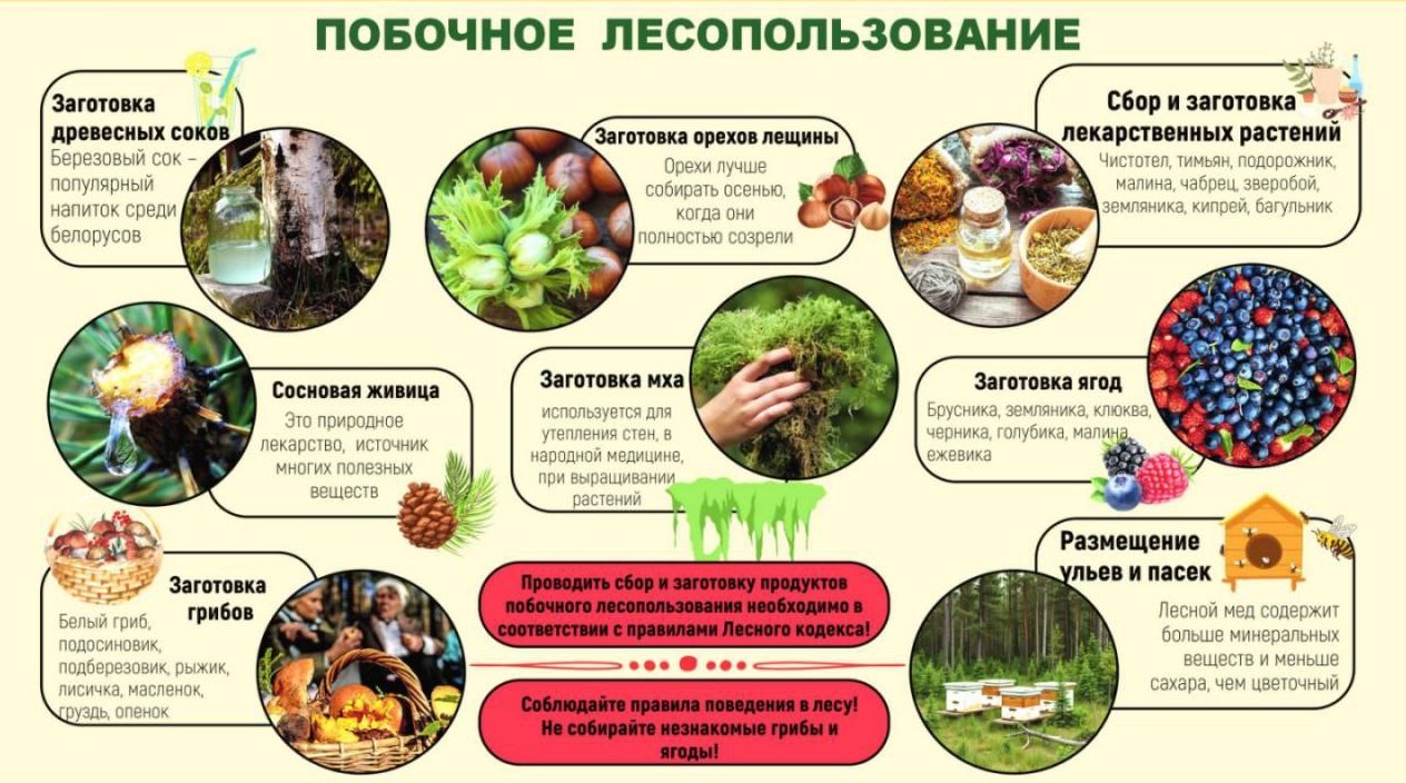 Точка осмотра 5
