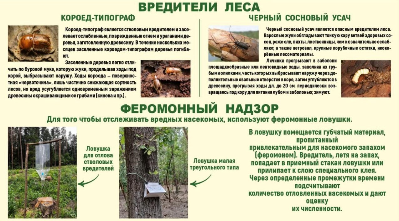 Точка осмотра 6