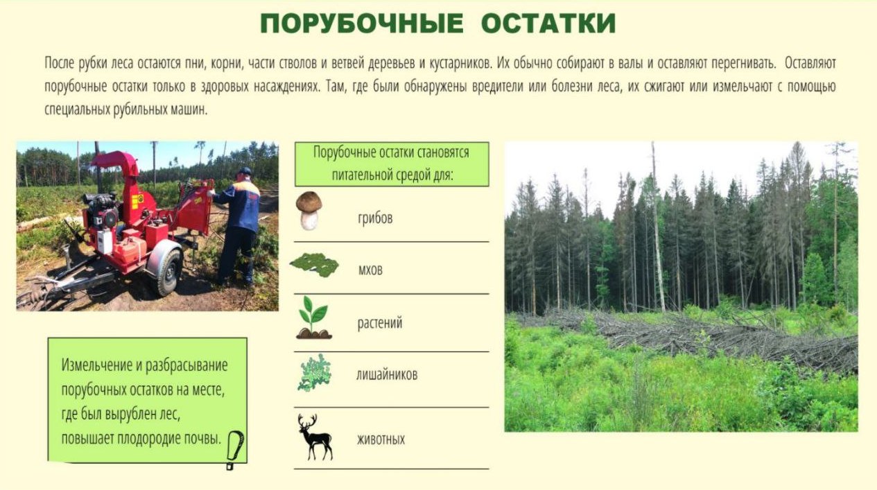 Точка осмотра 7