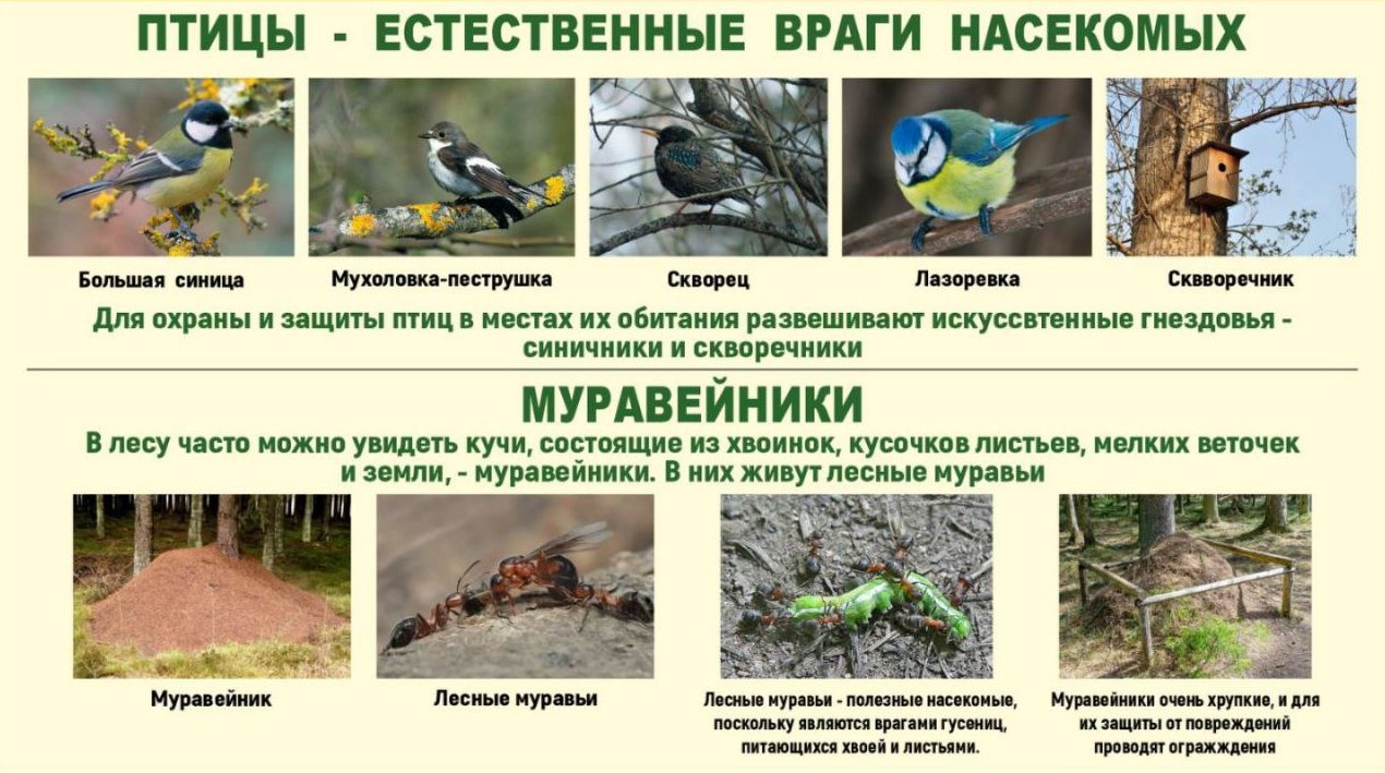 Точка осмотра 8