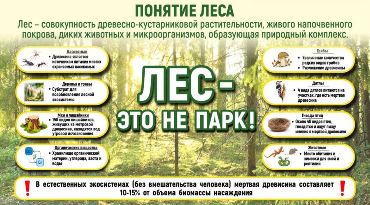 Точка осмотра 9